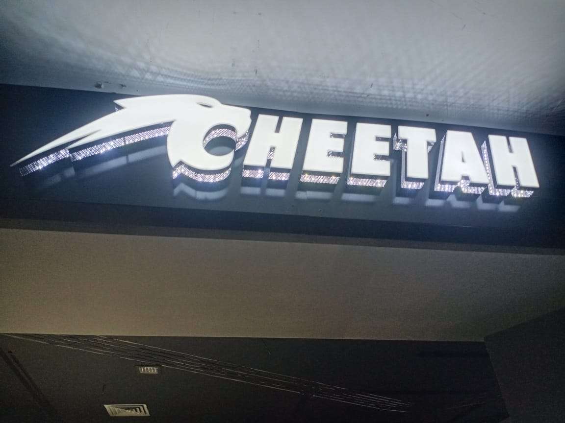 cheetah